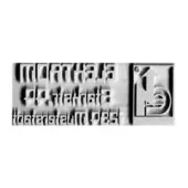 Rubber stamp plate trodat Mobile Printy 9413